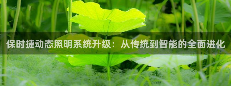 保时捷动态照明系统升级:从传统到智能的全