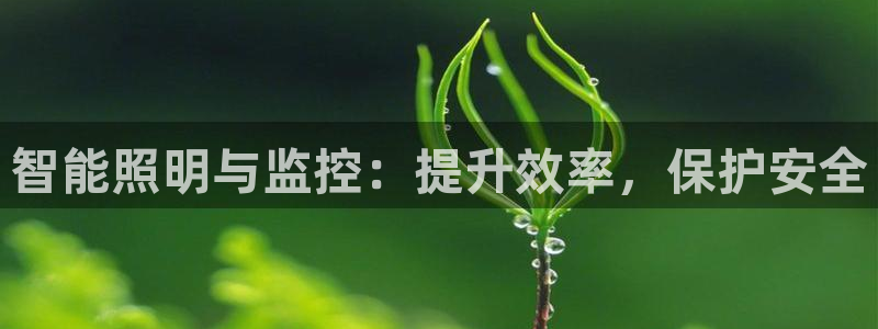 智能照明与监控:提升效率,保护安全