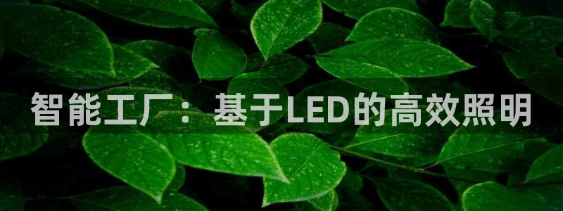 智能工厂:基于LED的高效照明